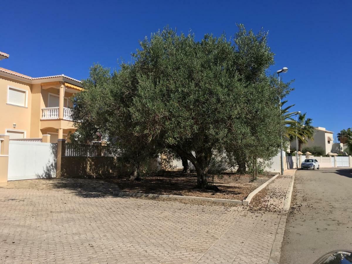 Villa Frente al Mar - Velazquez Oliva Esterno foto